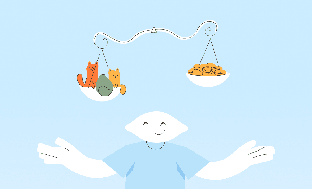 hiring a developer for a startup
