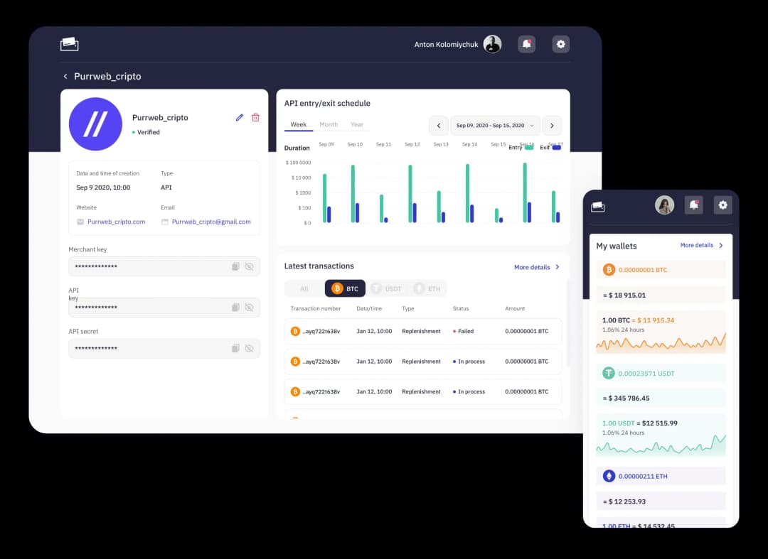 Cryptocurrency wallet app interface and dashboard