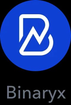 Binaryz logo