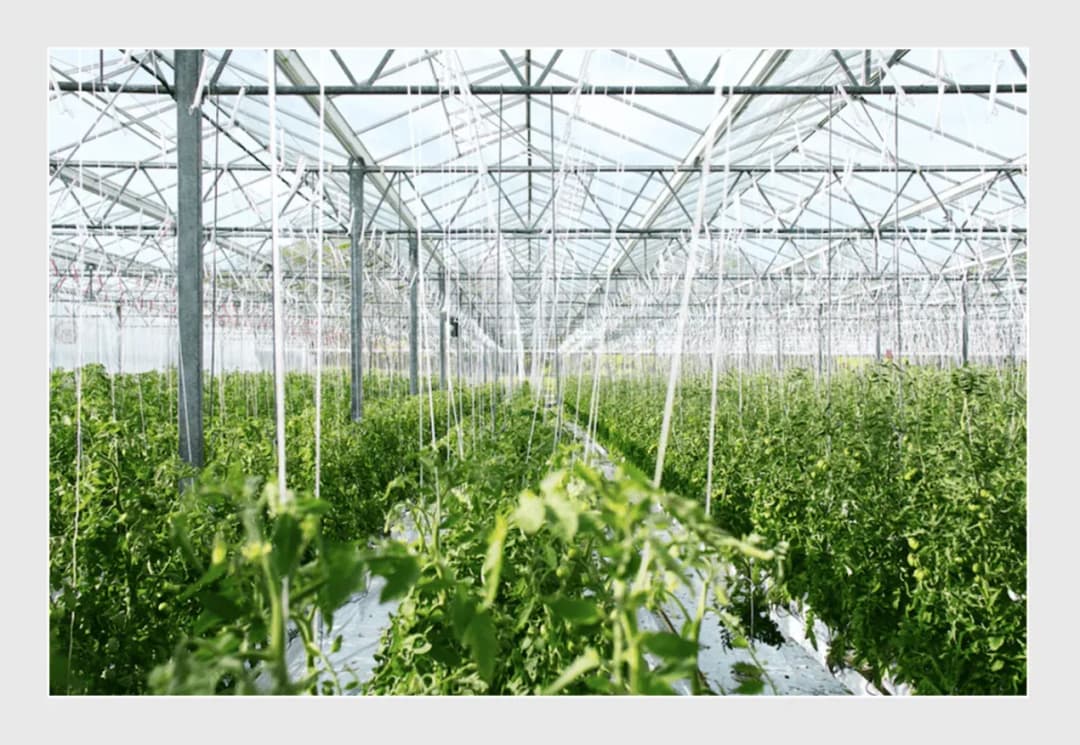 agriculture software development
