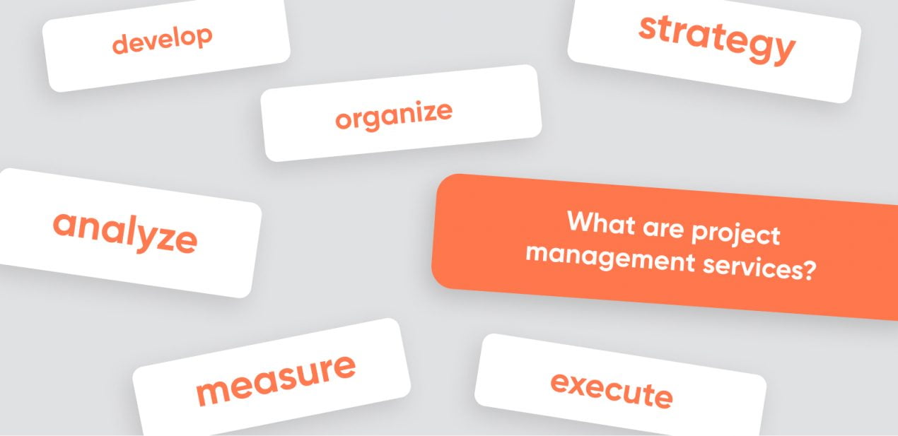 Professional services: project management for a startup