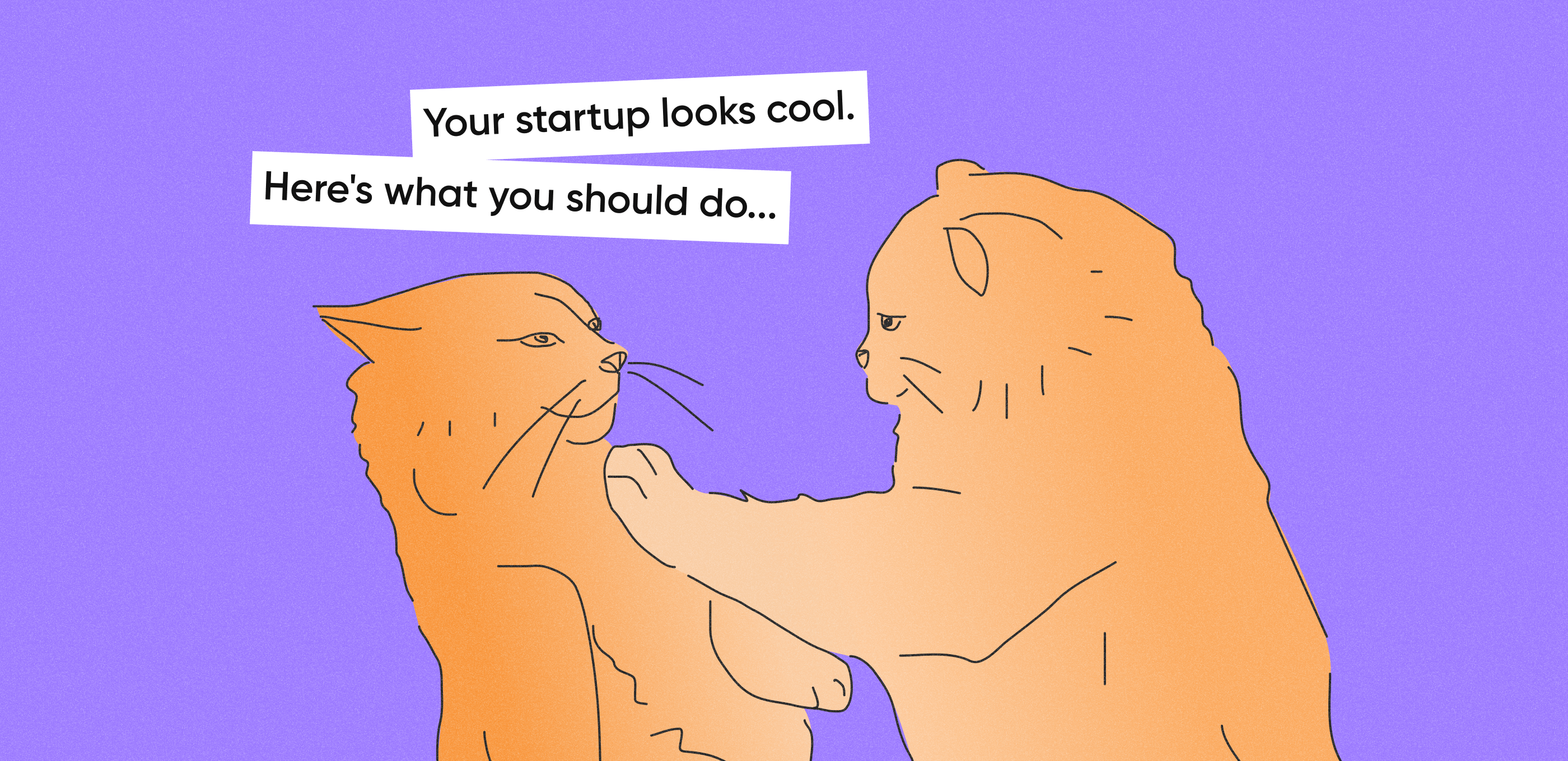 two cat-founders, “sharing ideas”