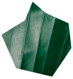 Leaf image